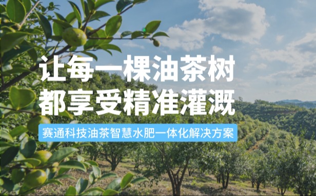 赛通科技油茶K8凯发(中国)水肥一体化解决方案：让每一棵油茶树都享受精准灌溉